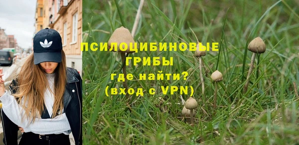 apvp Остров
