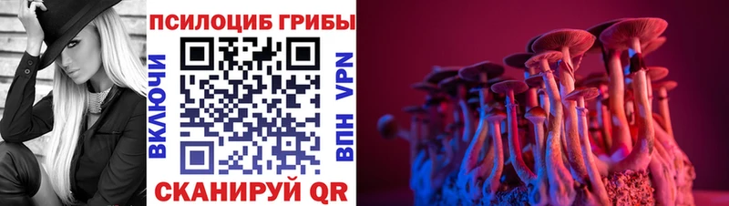 где купить наркотик  Сельцо  Псилоцибиновые грибы прущие грибы 